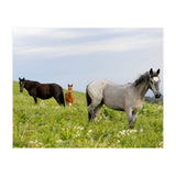 Equine Family (Print Only) thumbnail