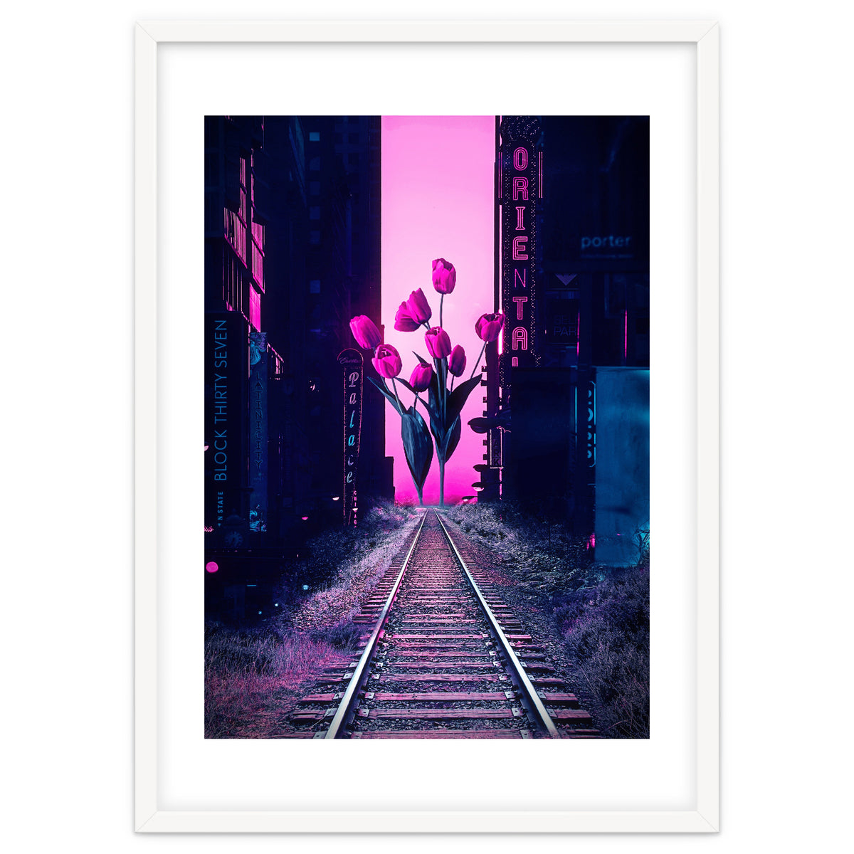 red tulips in the middle of the city