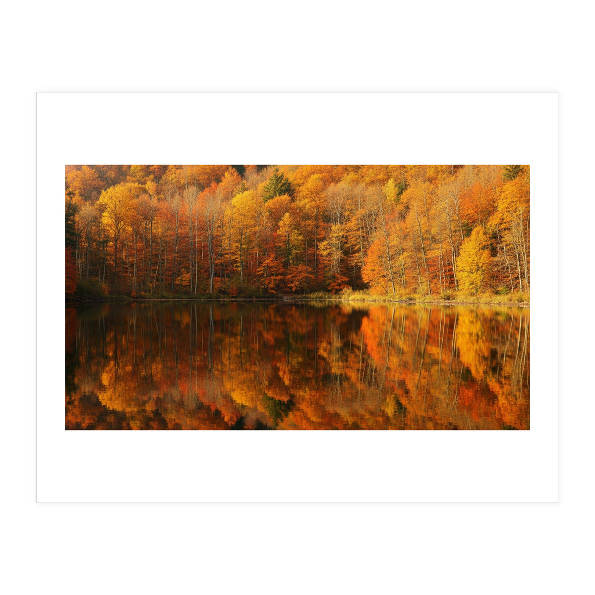 Autumn Reflections (Print Only)