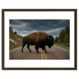 Bison on the Road , Yellowstone Wildlife Photography thumbnail