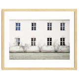 Small trees in between the windows thumbnail