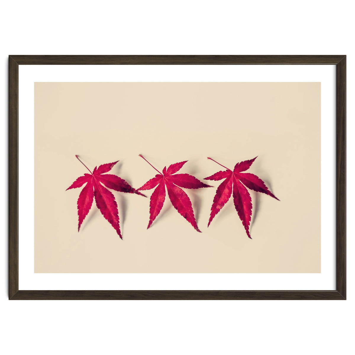 Dancing Leaves