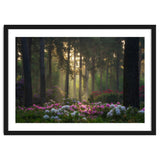 Rhododendron forest thumbnail