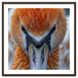 Close Up Of A Pelican's Beak With Water Droplets thumbnail