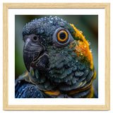 Close Up Of A Wet Macaw Parrot Head thumbnail
