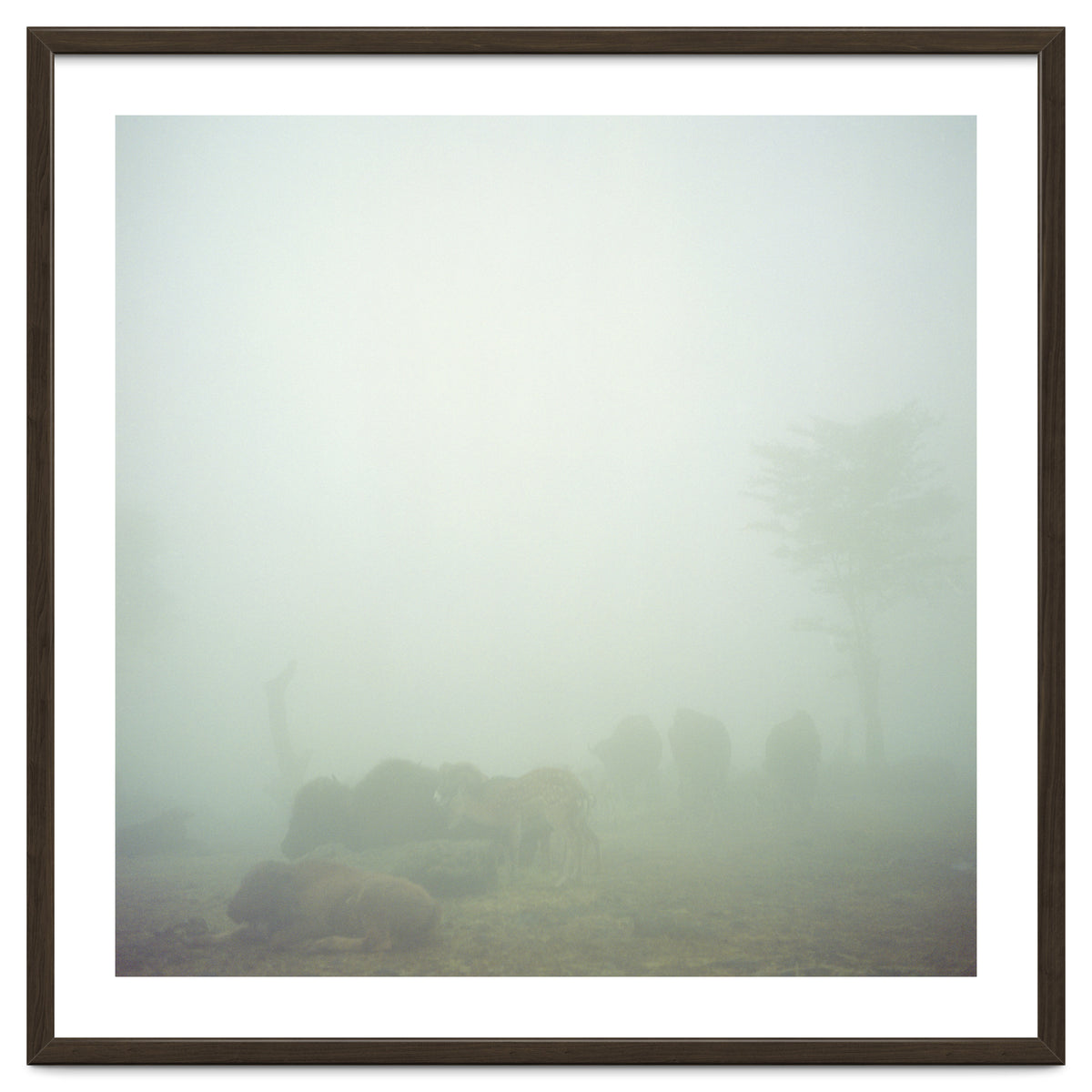 Silence of breath - 03