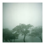 Silence of breath - 17 (Print Only) thumbnail
