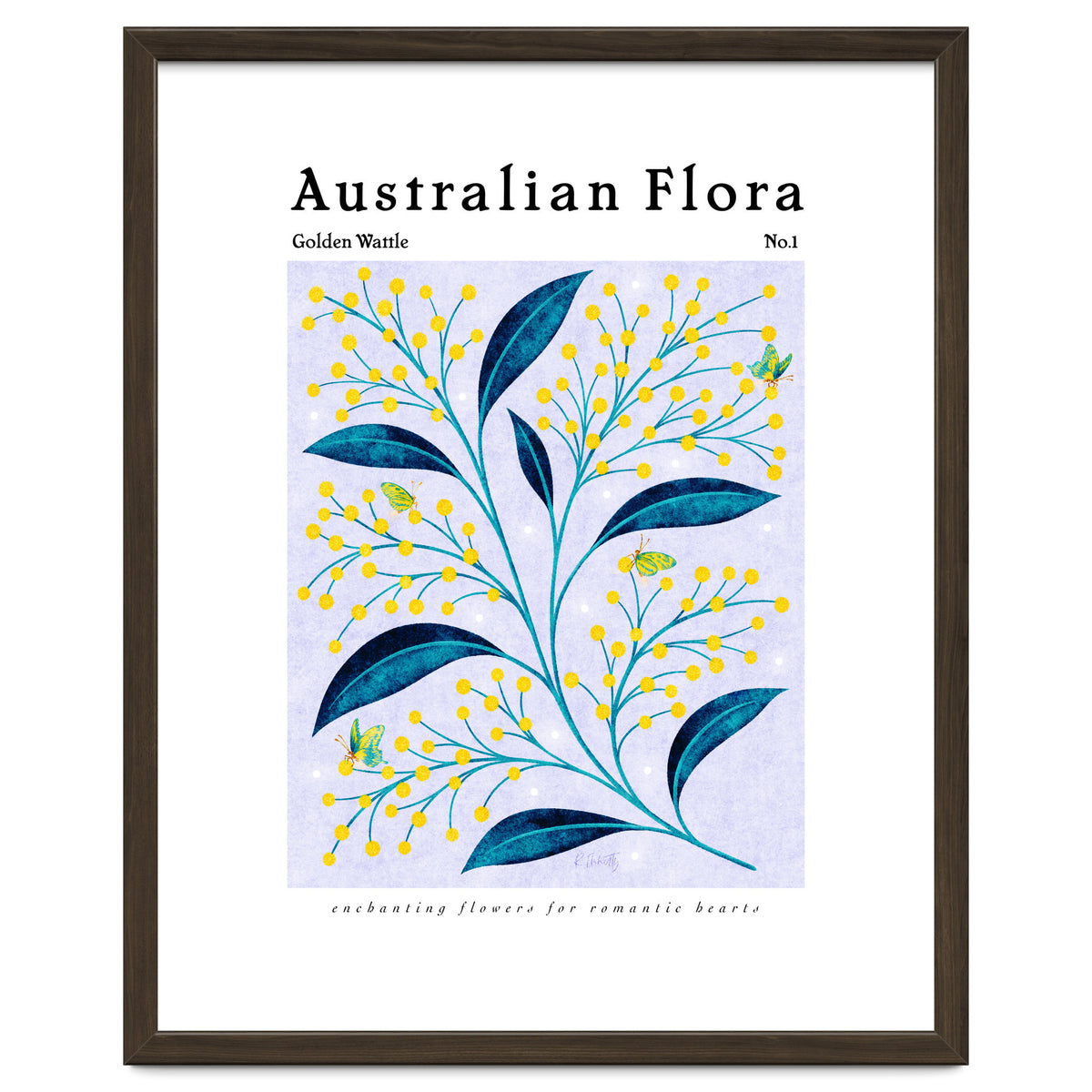 Australian Flora: Golden Wattle