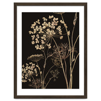 Wildflowers I