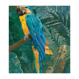 Macaw in the jungle (Print Only) thumbnail