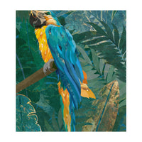 Macaw in the jungle (Print Only)