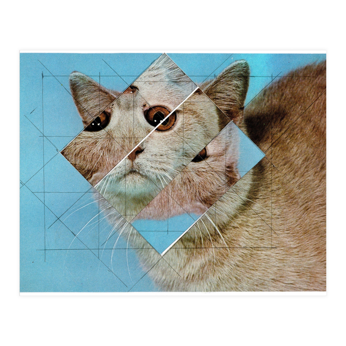 The Depressive Cat Am Abend Bekommt Den Blues (Print Only)