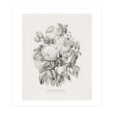 Currier & Ives – Rose of May (1870) (Print Only) thumbnail