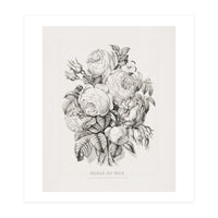 Currier & Ives – Rose of May (1870) (Print Only)