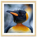 King Penguin In Falling Snow thumbnail