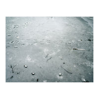 Frozen ice pond (Print Only)