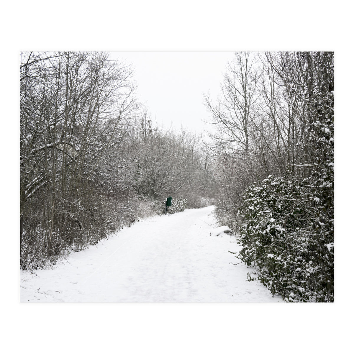 Walking through the snow park (Print Only)