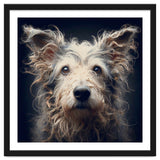 Old Dog 07 thumbnail