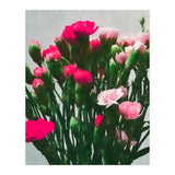 Watercolor Still Life (Print Only) thumbnail