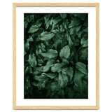 New Foliage Green Ii thumbnail