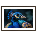 Peacock Head Close Up Majestic Blue Bird thumbnail