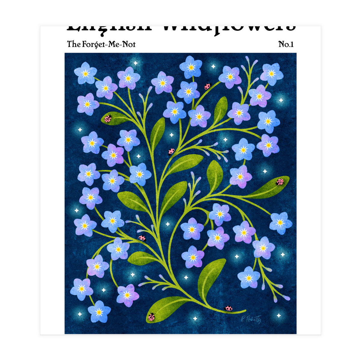 English Wildflowers | Forget-Me-Not (Print Only)