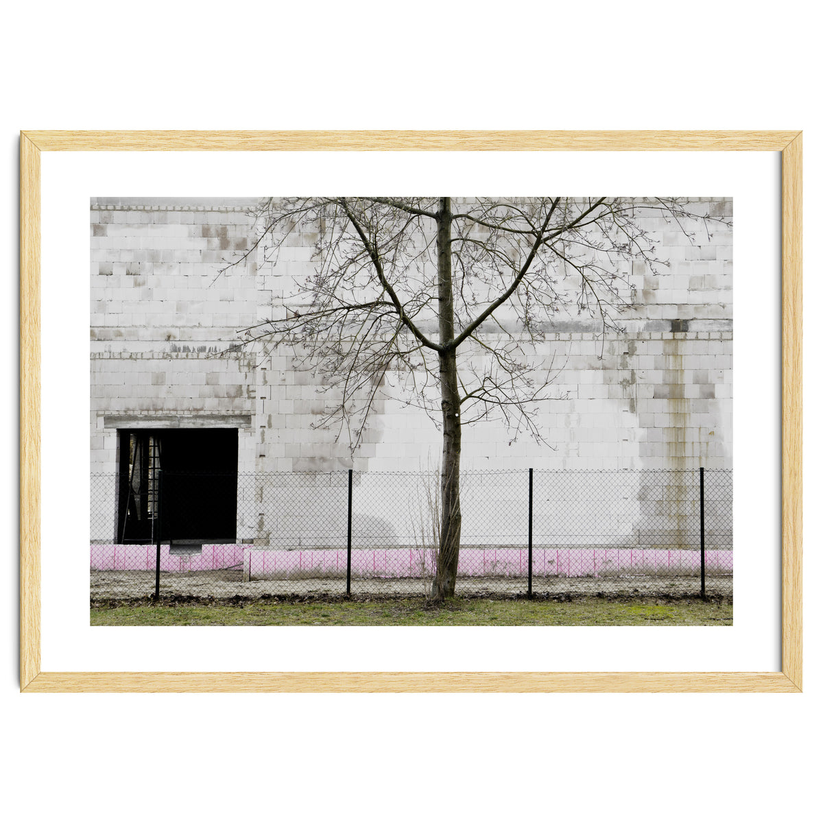 A tree in front of the wall