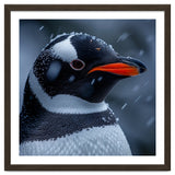 Close Up Penguin Portrait In Snowy Weather thumbnail