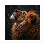 Lion Looking Up In The Snow Majestic (Print Only) thumbnail