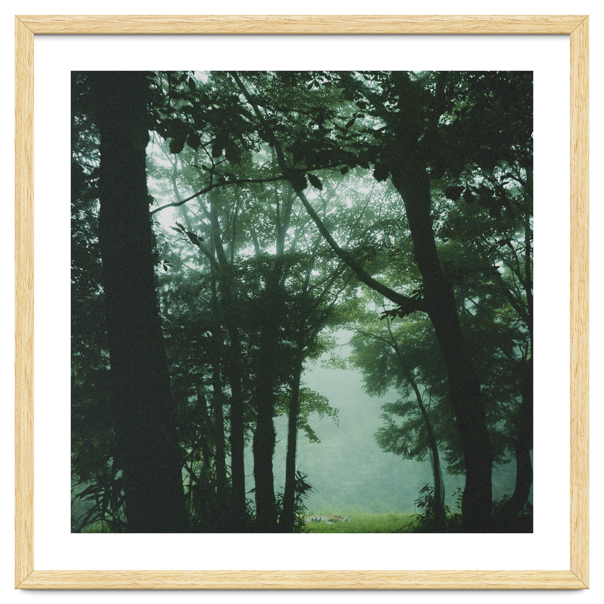 Silence of breath - 13