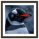 Close Up Penguin Portrait In Snowy Weather thumbnail