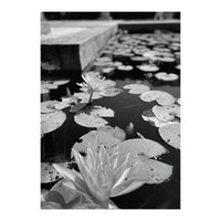 Lotus Pond | Black & White Portrait (Print Only)