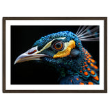 Close Up Of A Peacock Bird Head Eye thumbnail