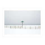 Fake palm tree in the winter snow beach (Print Only) thumbnail