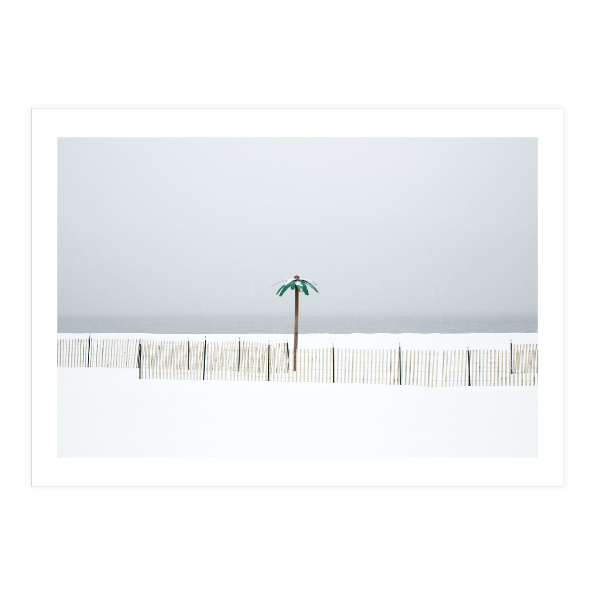 Fake palm tree in the winter snow beach (Print Only)