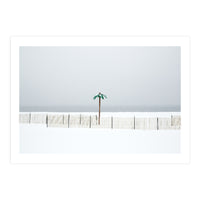 Fake palm tree in the winter snow beach (Print Only)