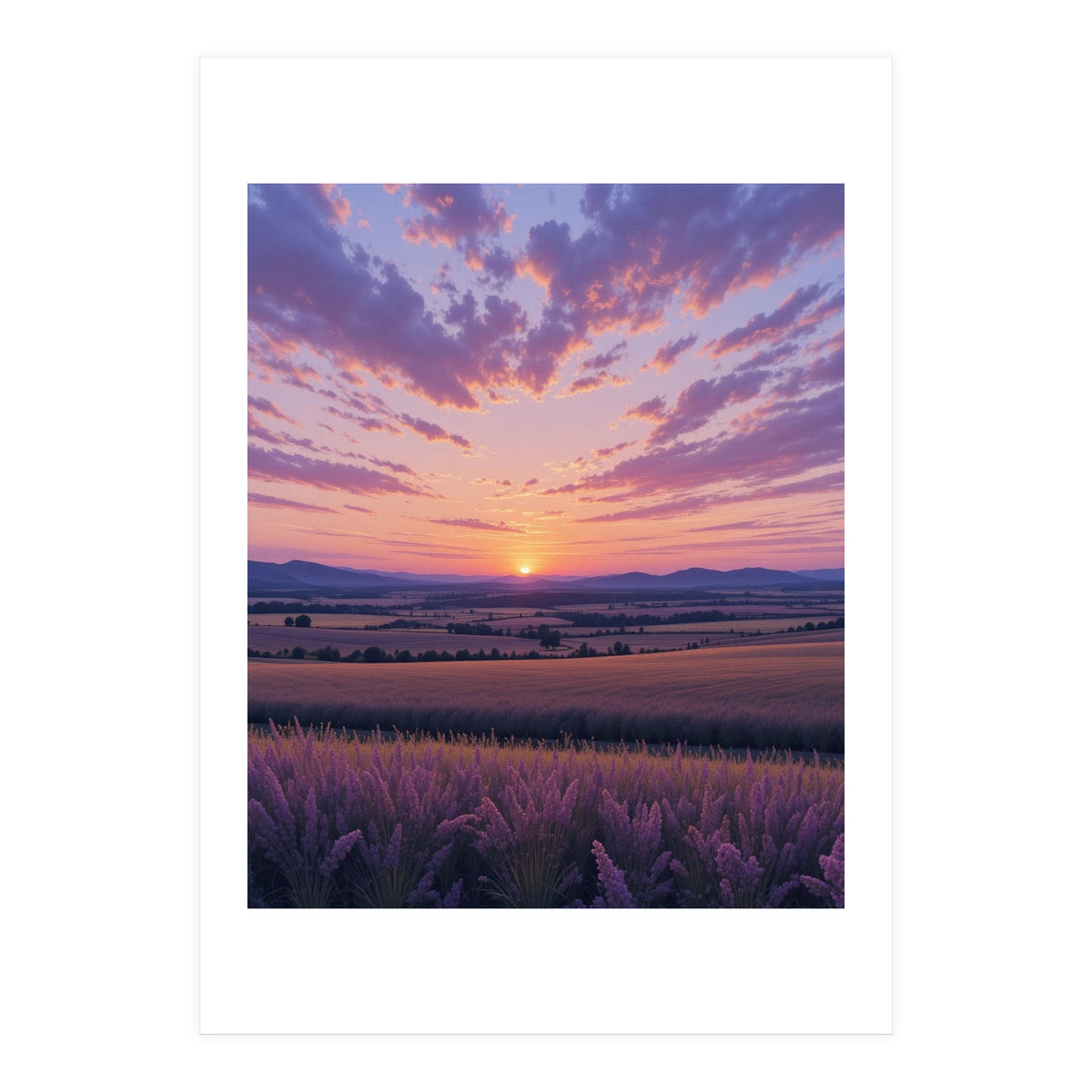 Serene Lavender Fields at Golden Hour Sunset (Print Only)