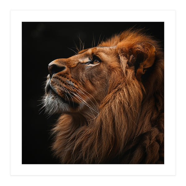 Majestic Lion Portrait Profile Majestic Beast (Print Only)