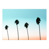 Sunset Boulevard #society6 #decor #buyart (Print Only) thumbnail