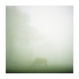 Silence of breath - 09 (Print Only) thumbnail