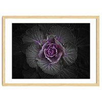 Backyard Flowers No 108 Color Version