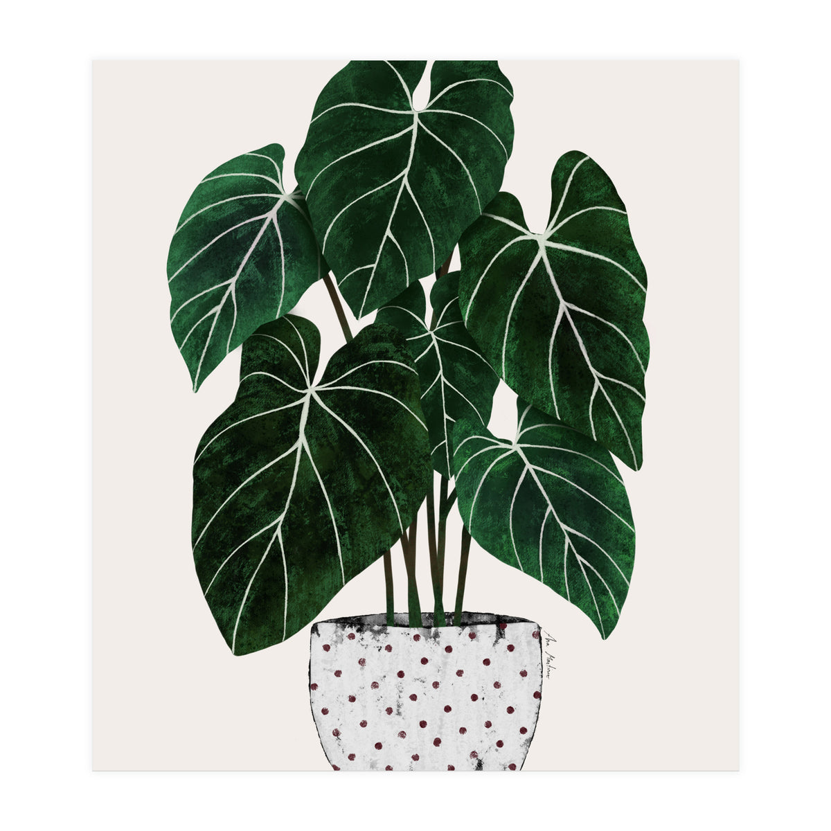 Philodendron Plant (Print Only)