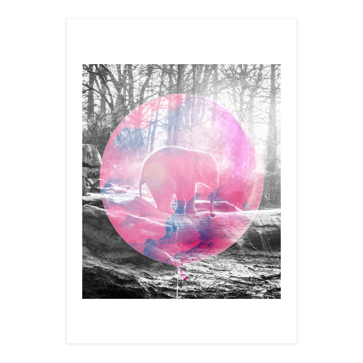Baby Elephant In A Balloon (Print Only)