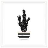 Black Cactus thumbnail