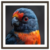 Close Up Portrait Of A Colorful Parrot thumbnail