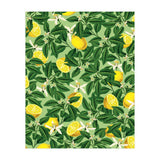 Lemonade Garden, Green Fresh Lemon Botanical Illustration, Vibrant Summer Tropical Fruit Nature (Print Only) thumbnail