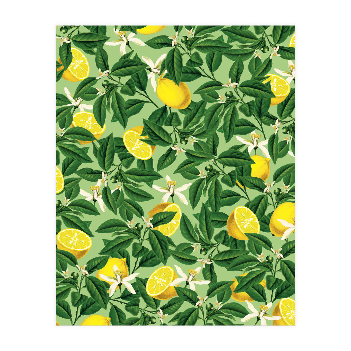 Lemonade Garden, Green Fresh Lemon Botanical Illustration, Vibrant Summer Tropical Fruit Nature (Print Only)