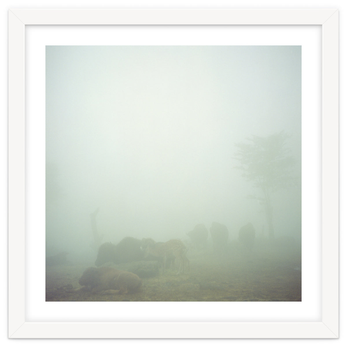 Silence of breath - 03