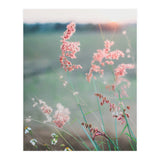 Dance With Air (Print Only) thumbnail