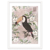 Exotic Bird Toucan thumbnail